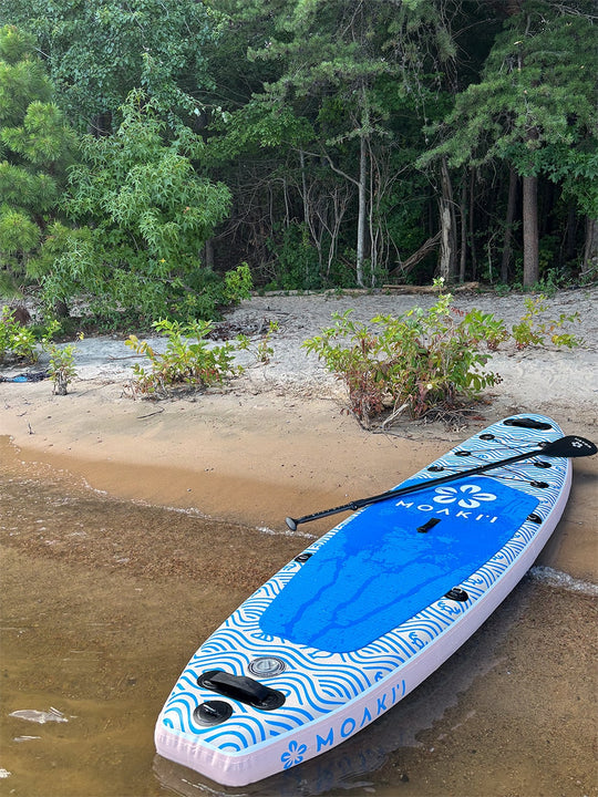 The Moaki'i Trekker resting on a lake shore, highlighting its vibrant blue and pink wave design.