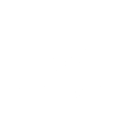 Product image with a clear background