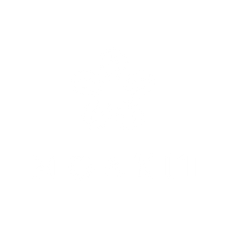 Product image with a clear background