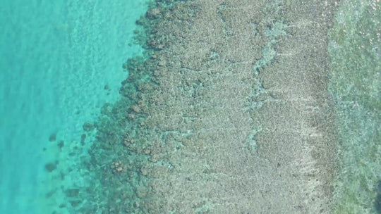 Drone footage of the Moaki'i Trekker floating over a clear coral reef.